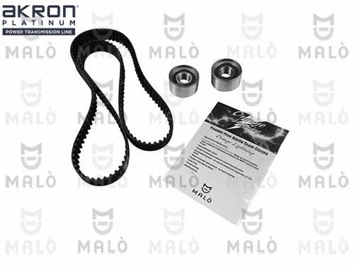 Timing Belt Kit (1551051)