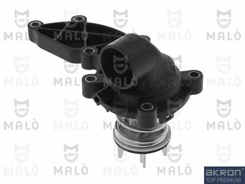 Thermostat, coolant (TER488)