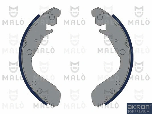 Brake Shoe Set (1390128)