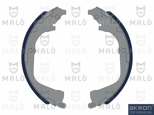 Brake Shoe Set (1390379)