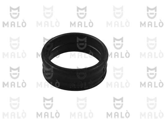 Gasket, water pump (15610)