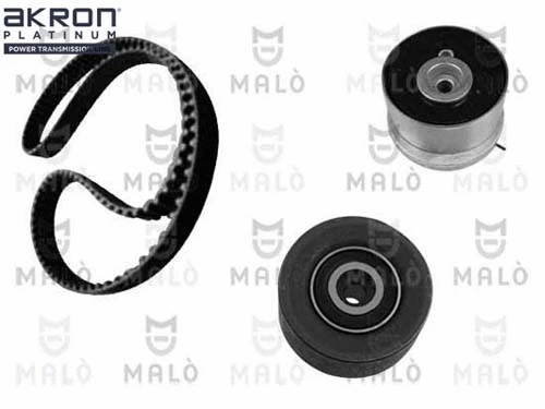 Timing Belt Kit (1551036)