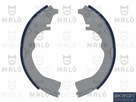 Brake Shoe Set (1390268)