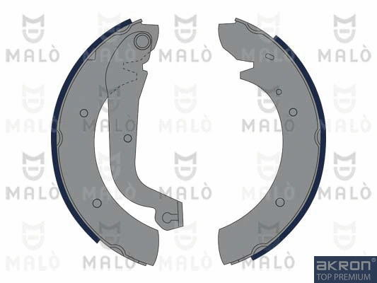 Brake Shoe Set (1390062)