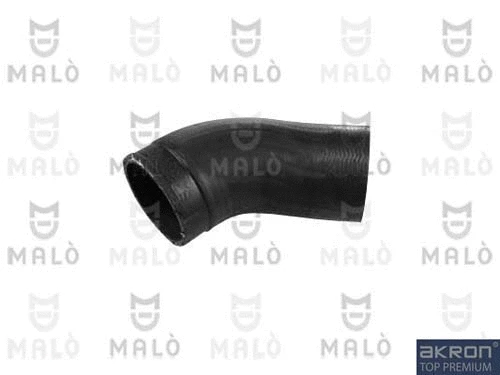 Charge Air Hose (273221A)