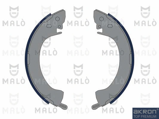 Brake Shoe Set (1390133)