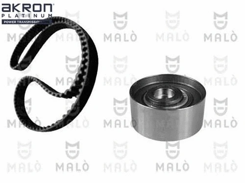 Timing Belt Kit (1551002)