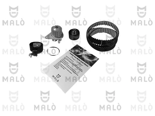 Water Pump & Timing Belt Kit (1555071)