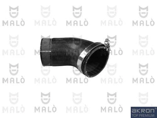 Charge Air Hose (179743A)