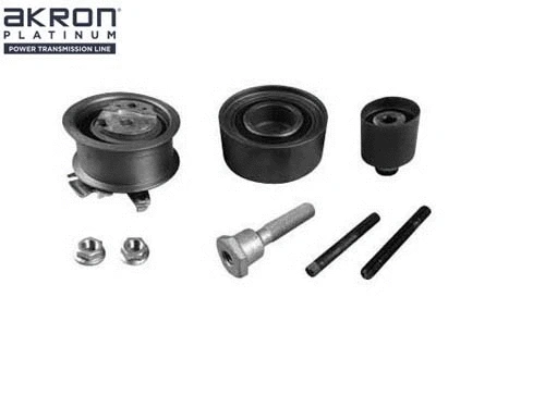Timing Belt Kit (1551043)