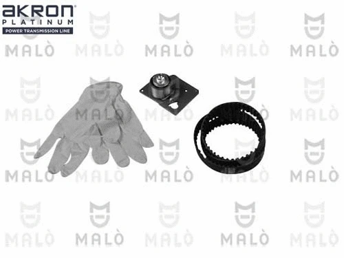 Timing Belt Kit (1551069)