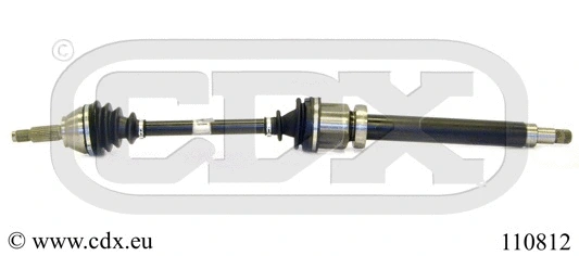 Drive Shaft (110812)