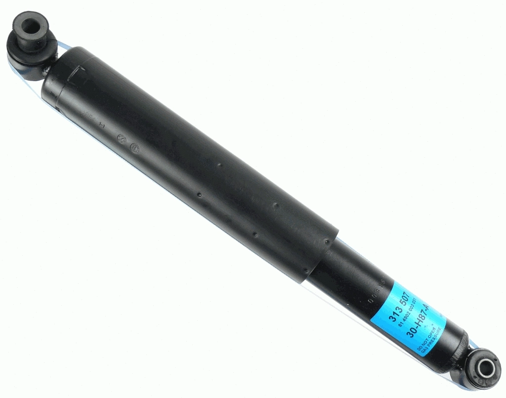 Shock Absorber (313 507)