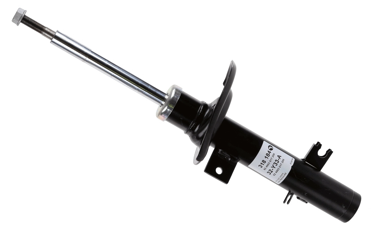 Shock Absorber (318 184)