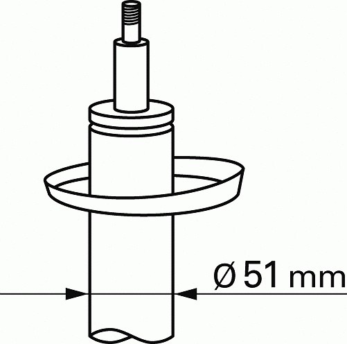 Shock Absorber (100 456)