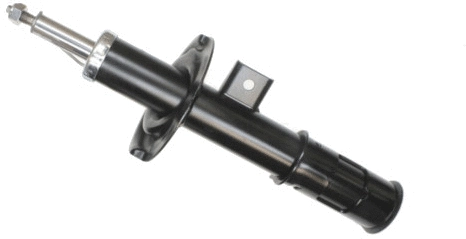 Shock Absorber (316 762)