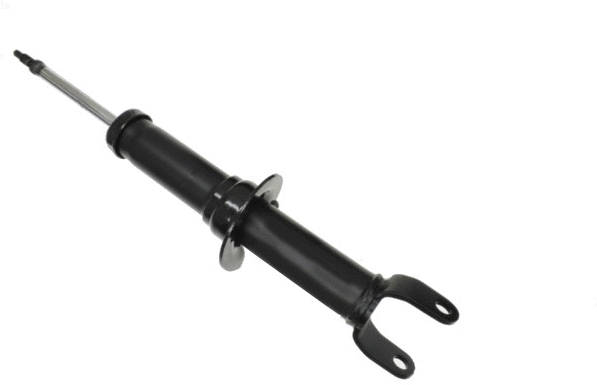 Shock Absorber (313 625)
