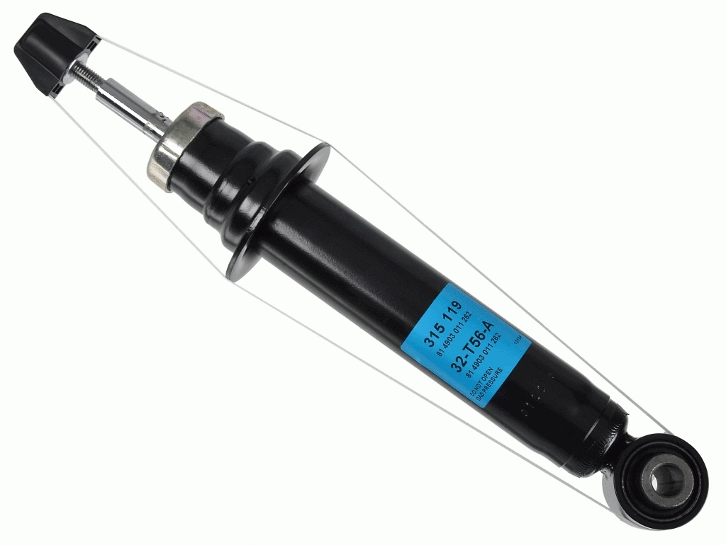 Shock Absorber (315 119)