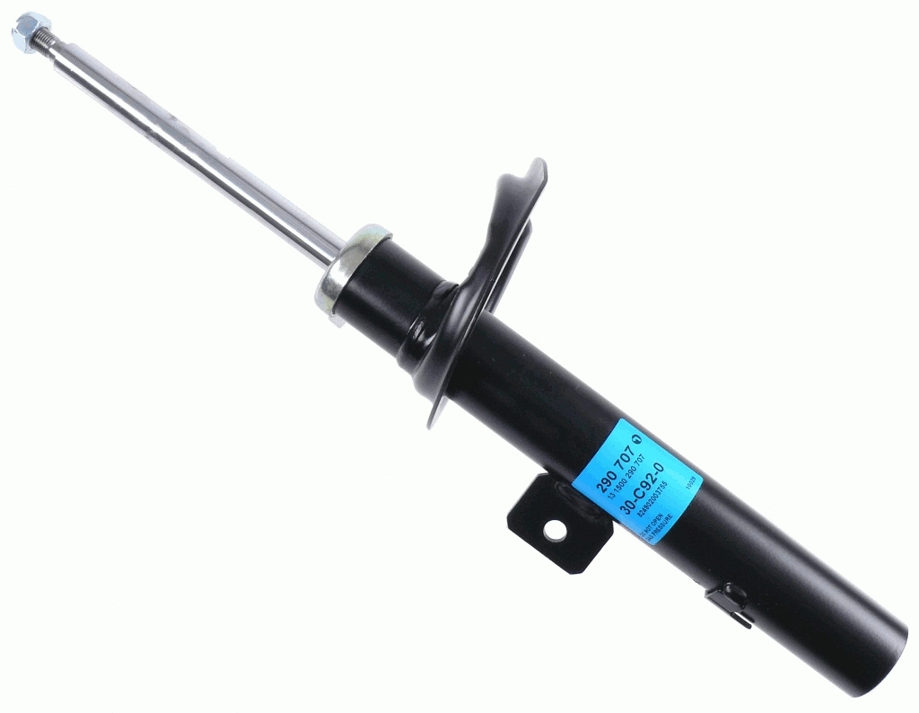 Shock Absorber (290 707)