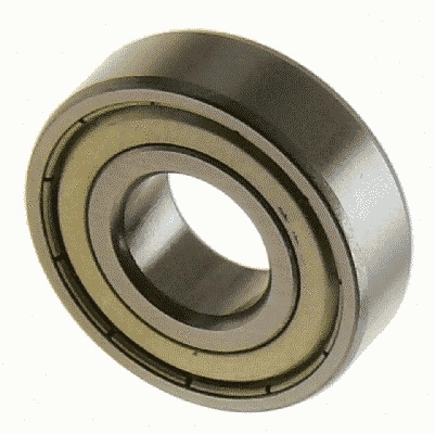 Pilot Bearing, clutch (1863 869 014)