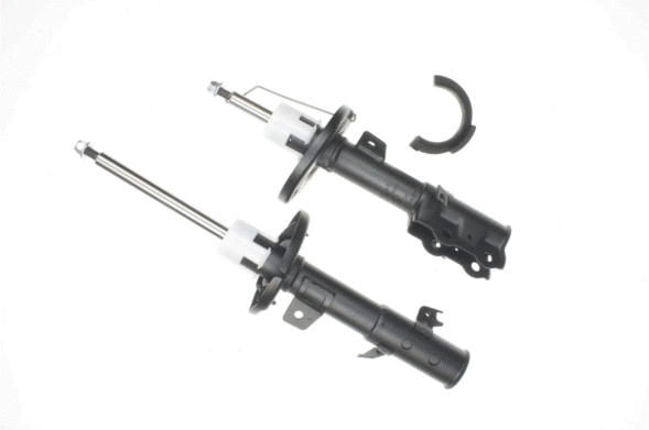 Shock Absorber (317 281)