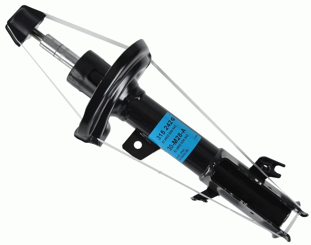 Shock Absorber (315 242)