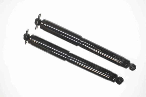 Shock Absorber (317 725)