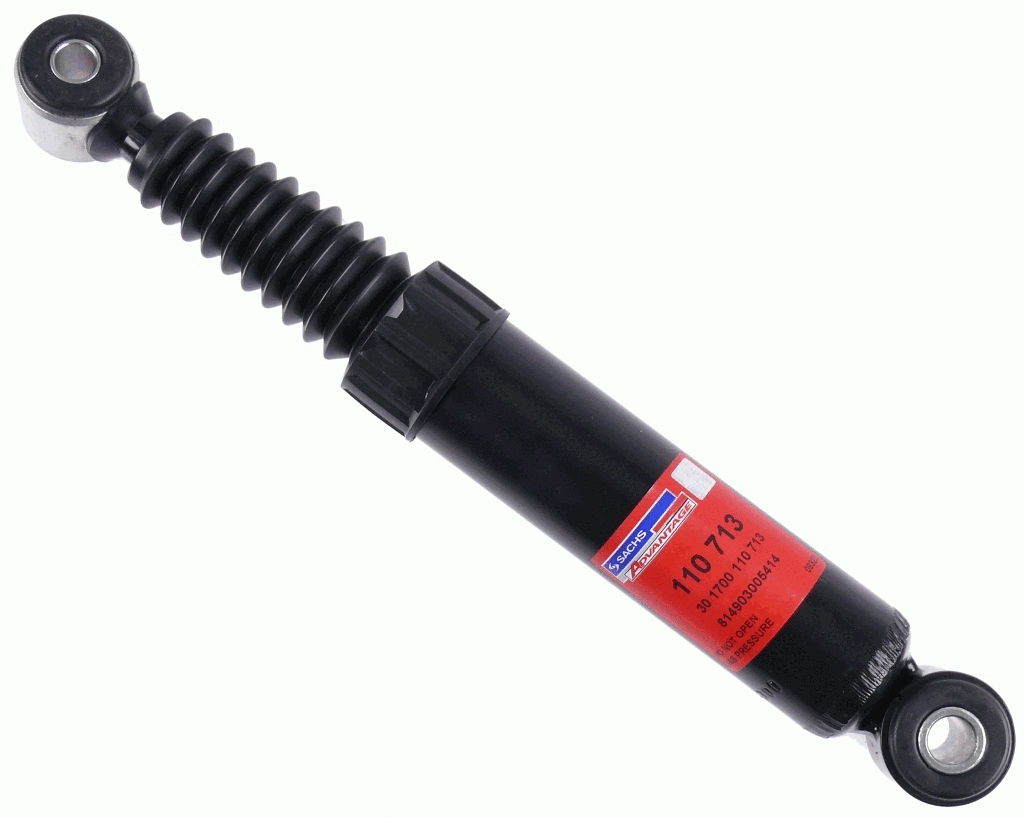 Shock Absorber (110 713)