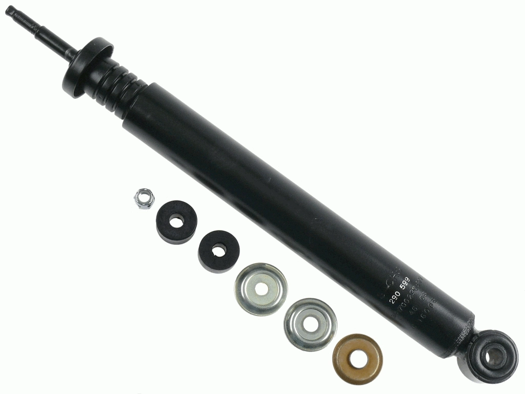 Shock Absorber (290 599)