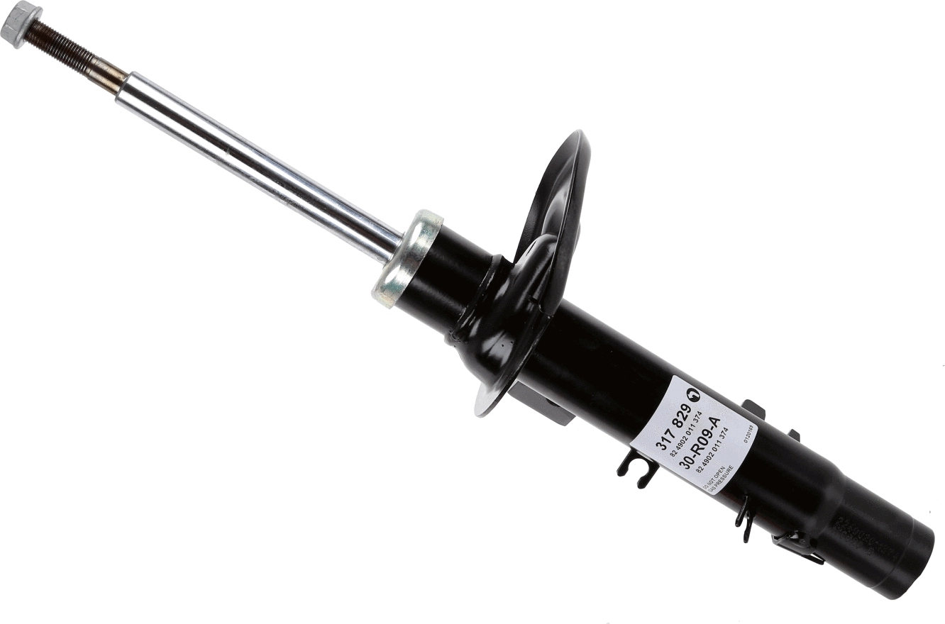 Shock Absorber (317 829)