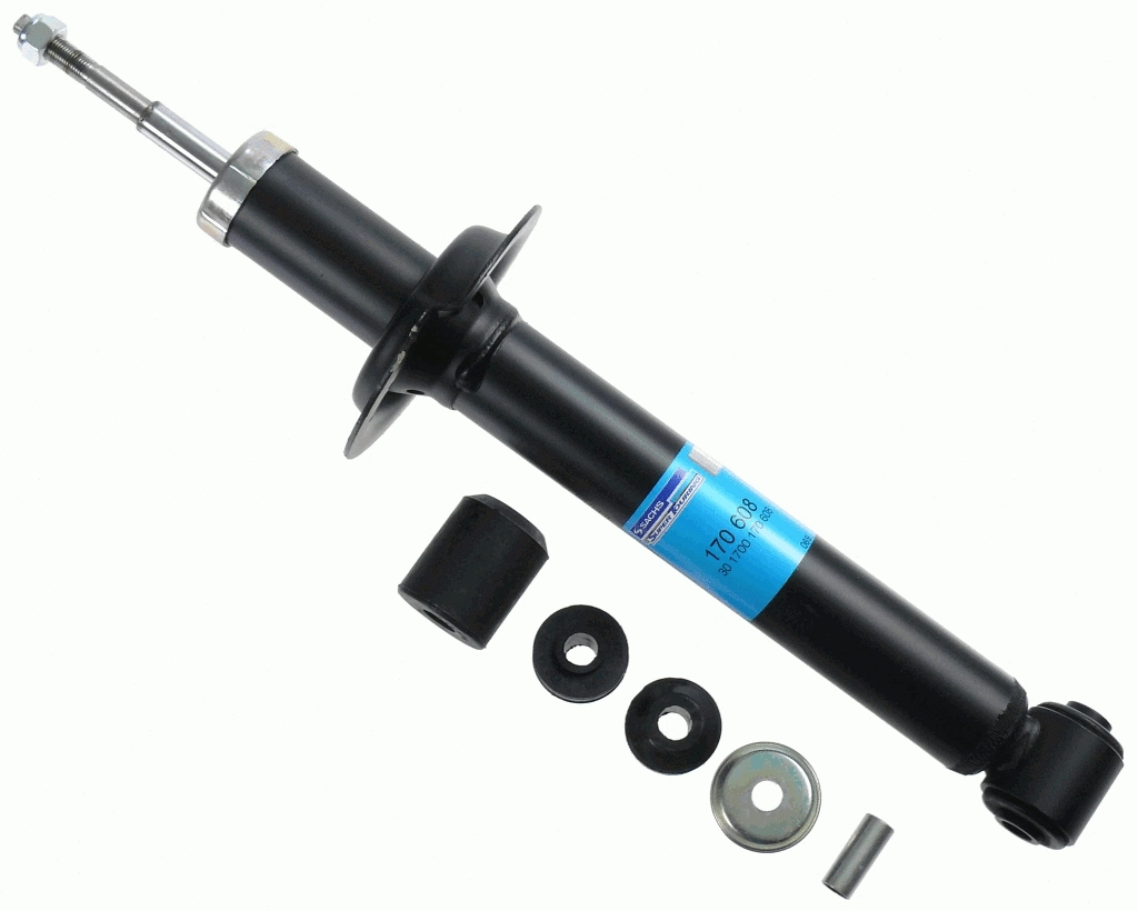 Shock Absorber (170 608)