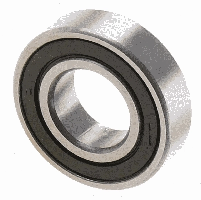 Pilot Bearing, clutch (1863 869 027)