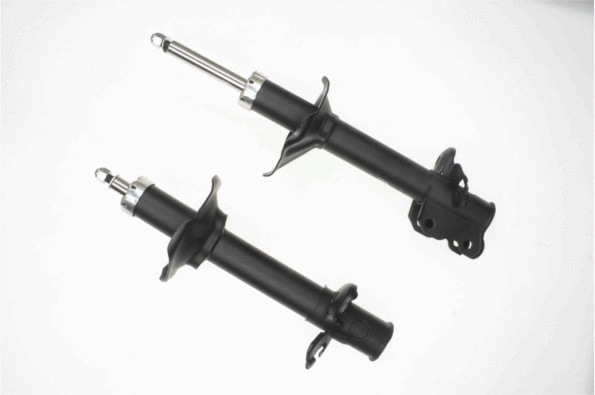 Shock Absorber (317 650)