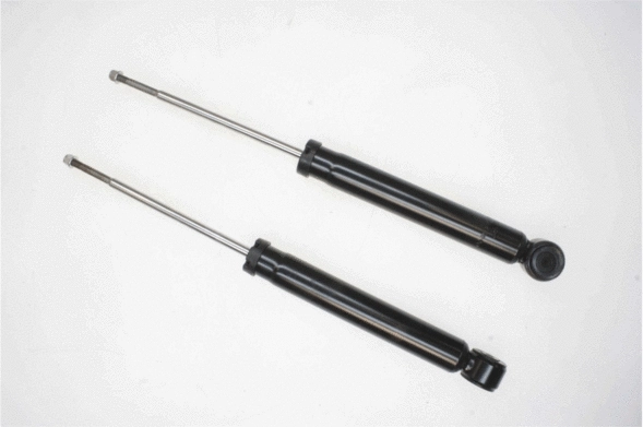 Shock Absorber (316 933)