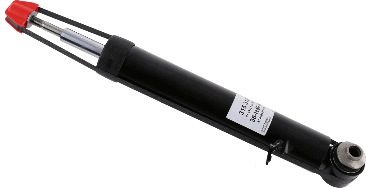 Shock Absorber (315 313)
