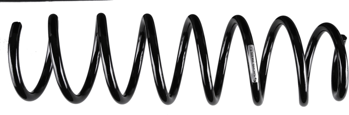 Suspension Spring (994 875)