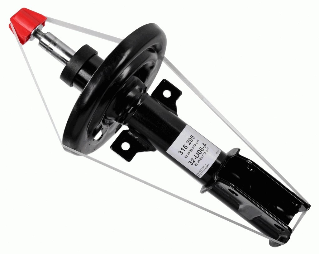 Shock Absorber (315 295)
