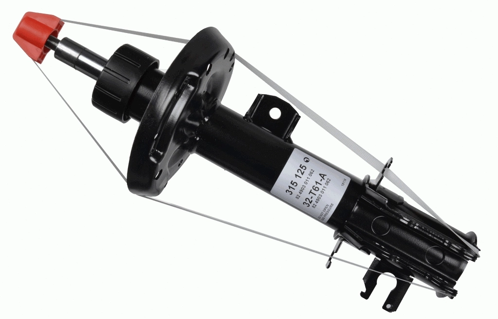 Shock Absorber (315 125)