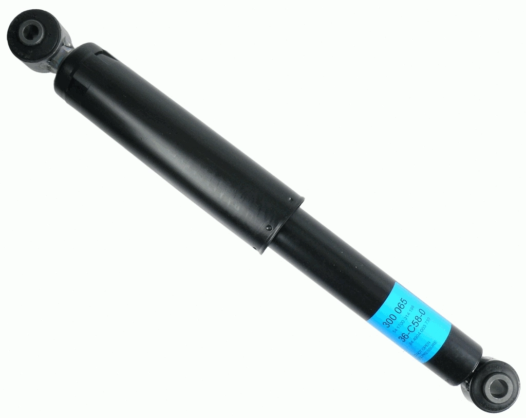 Shock Absorber (300 065)