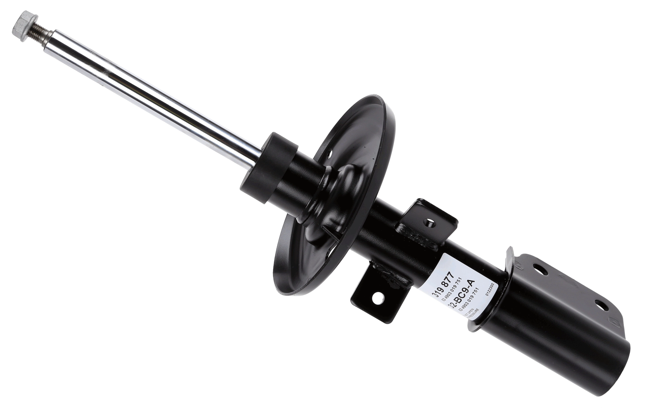 Shock Absorber (319 877)