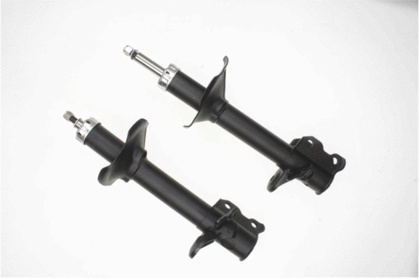 Shock Absorber (317 651)