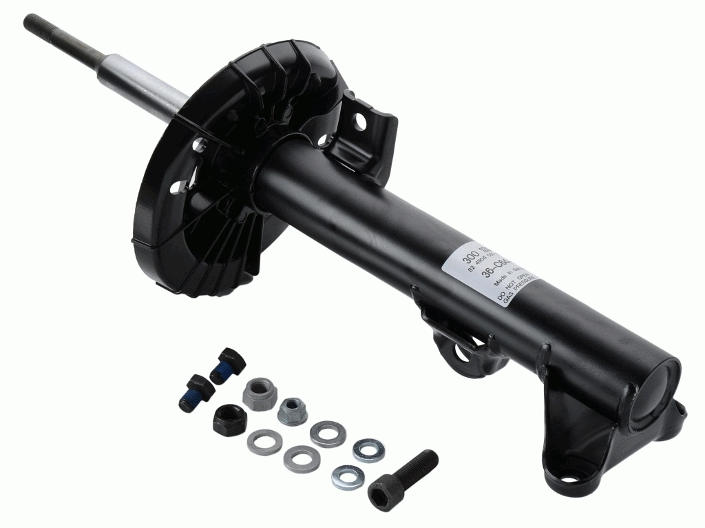 Shock Absorber (300 139)