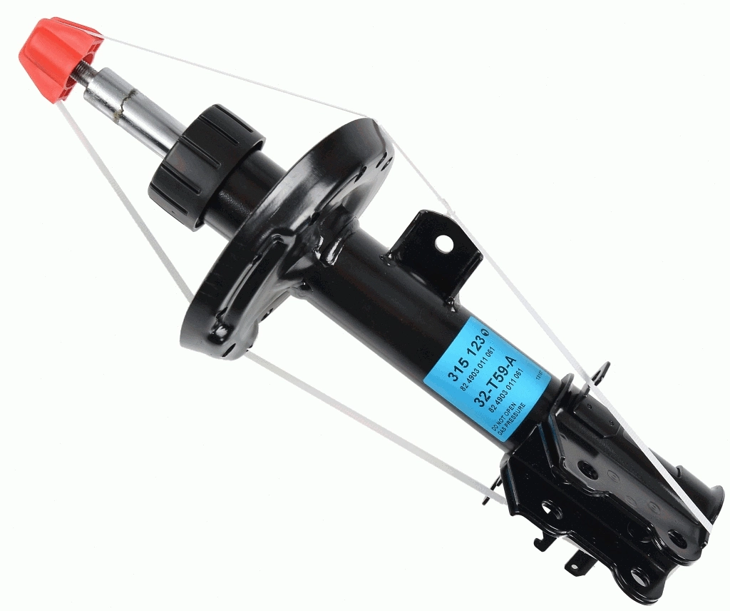 Shock Absorber (315 123)
