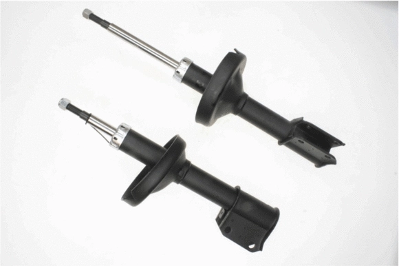 Shock Absorber (317 647)