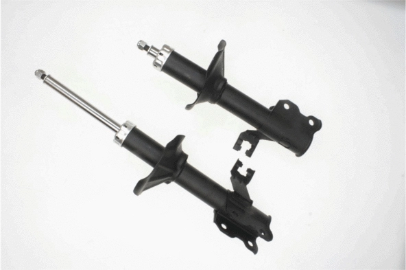 Shock Absorber (317 648)