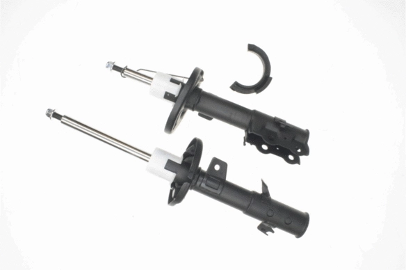 Shock Absorber (317 282)