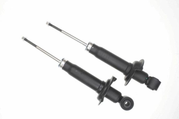 Shock Absorber (317 298)