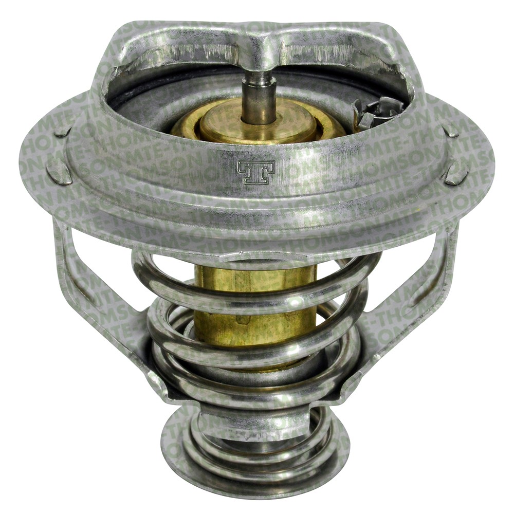 Thermostat, coolant (VT589.95)