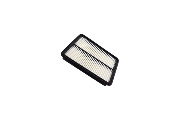 Air Filter (250052210)