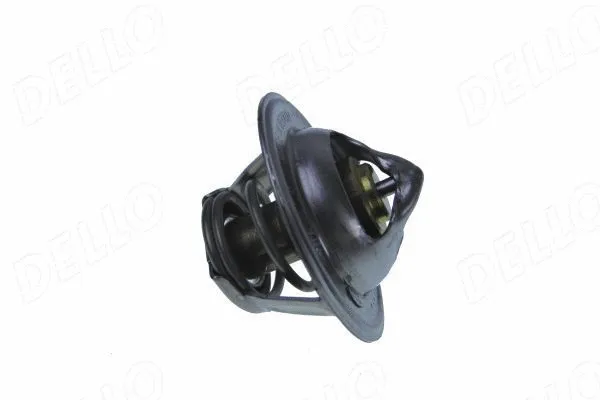 Thermostat, coolant (160088810)